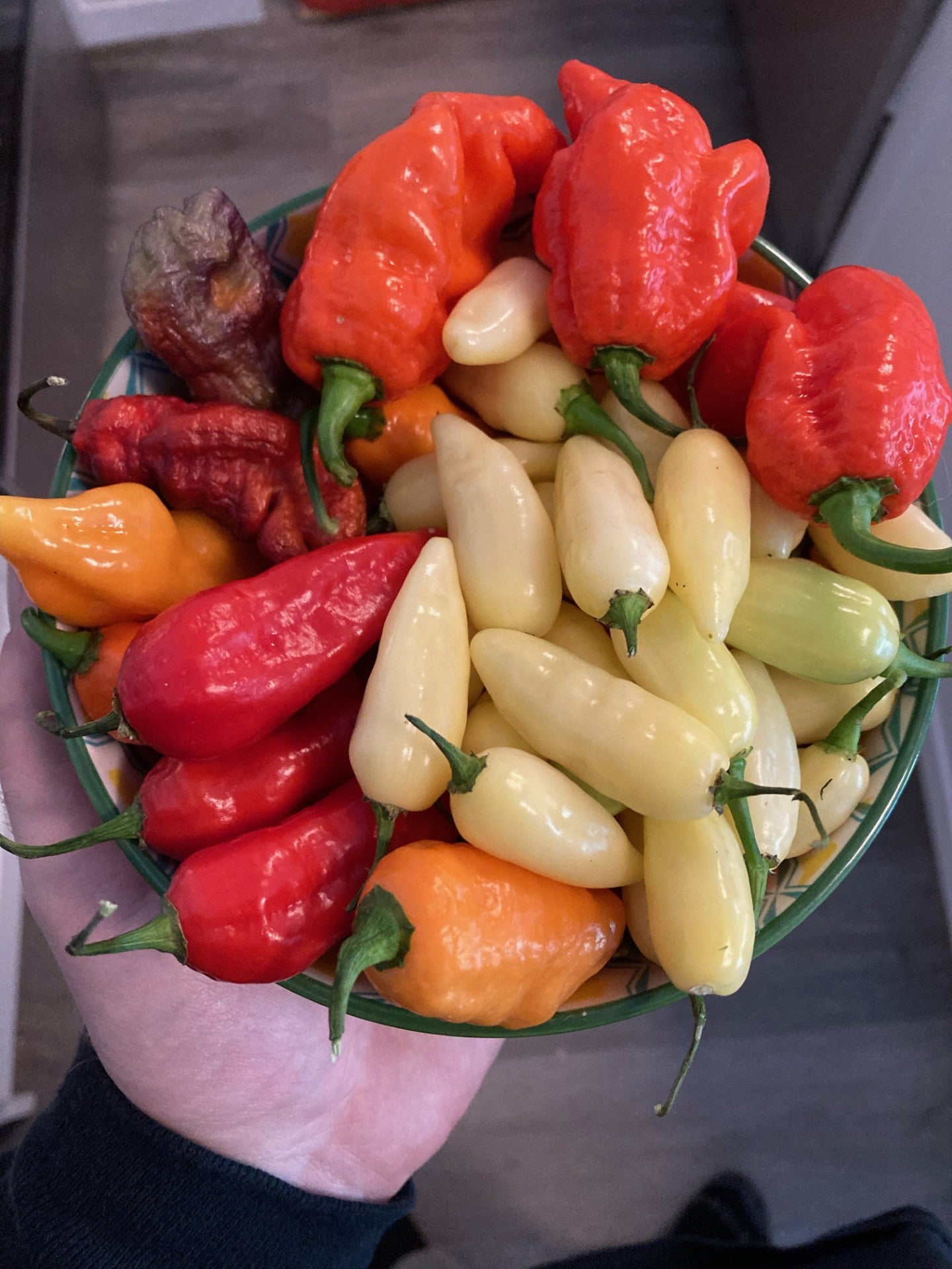 Super Hot Pepper Assortment